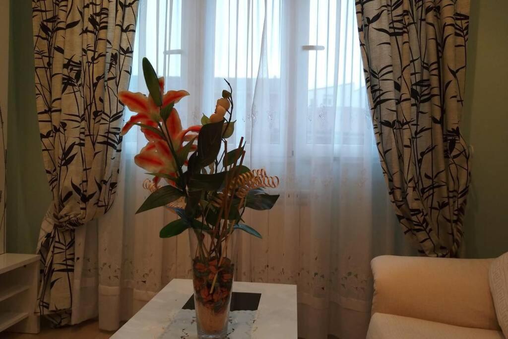 Piso En Avenida Pumarín . Wifi Apartamento Oviedo